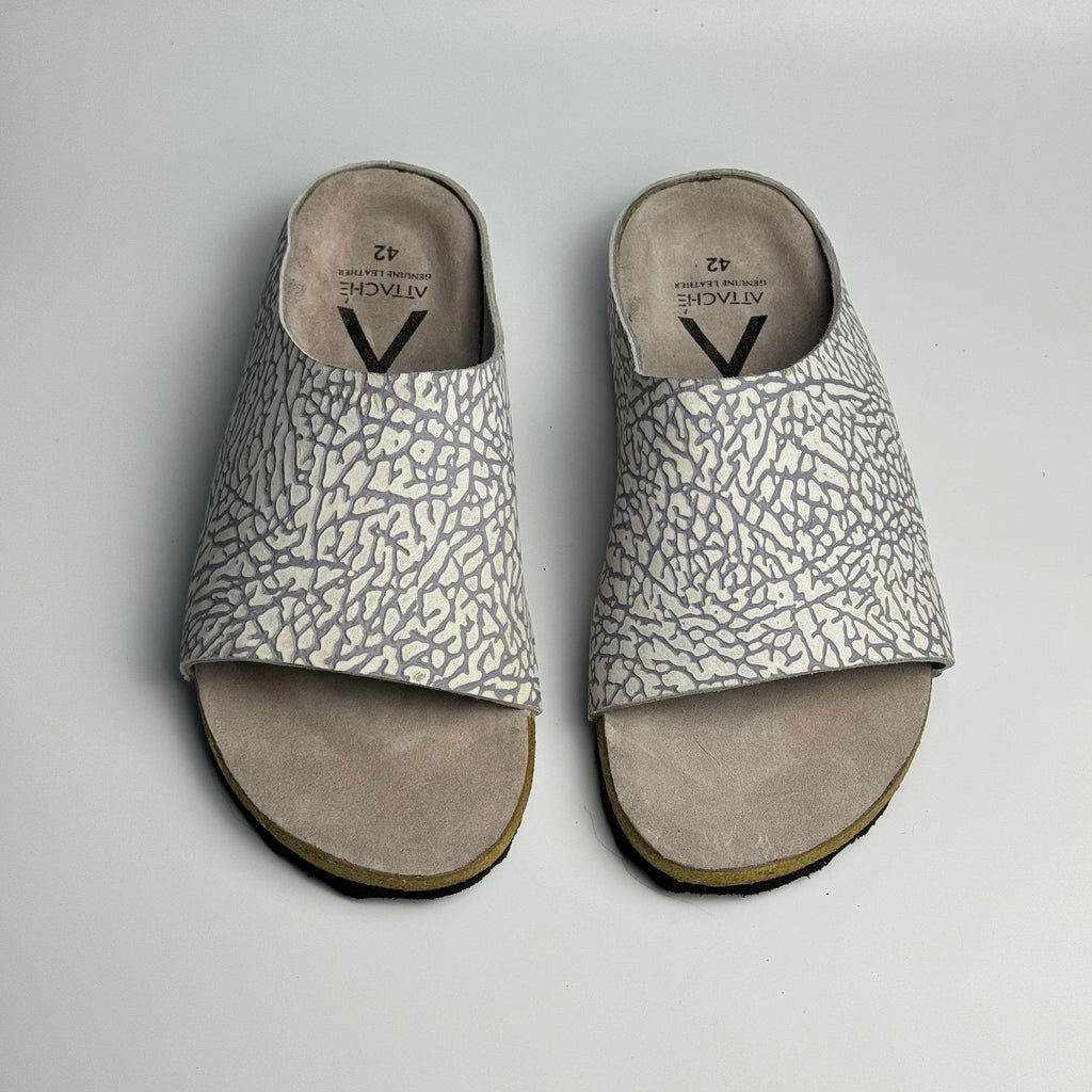 Terra Slides “White Elephant”
